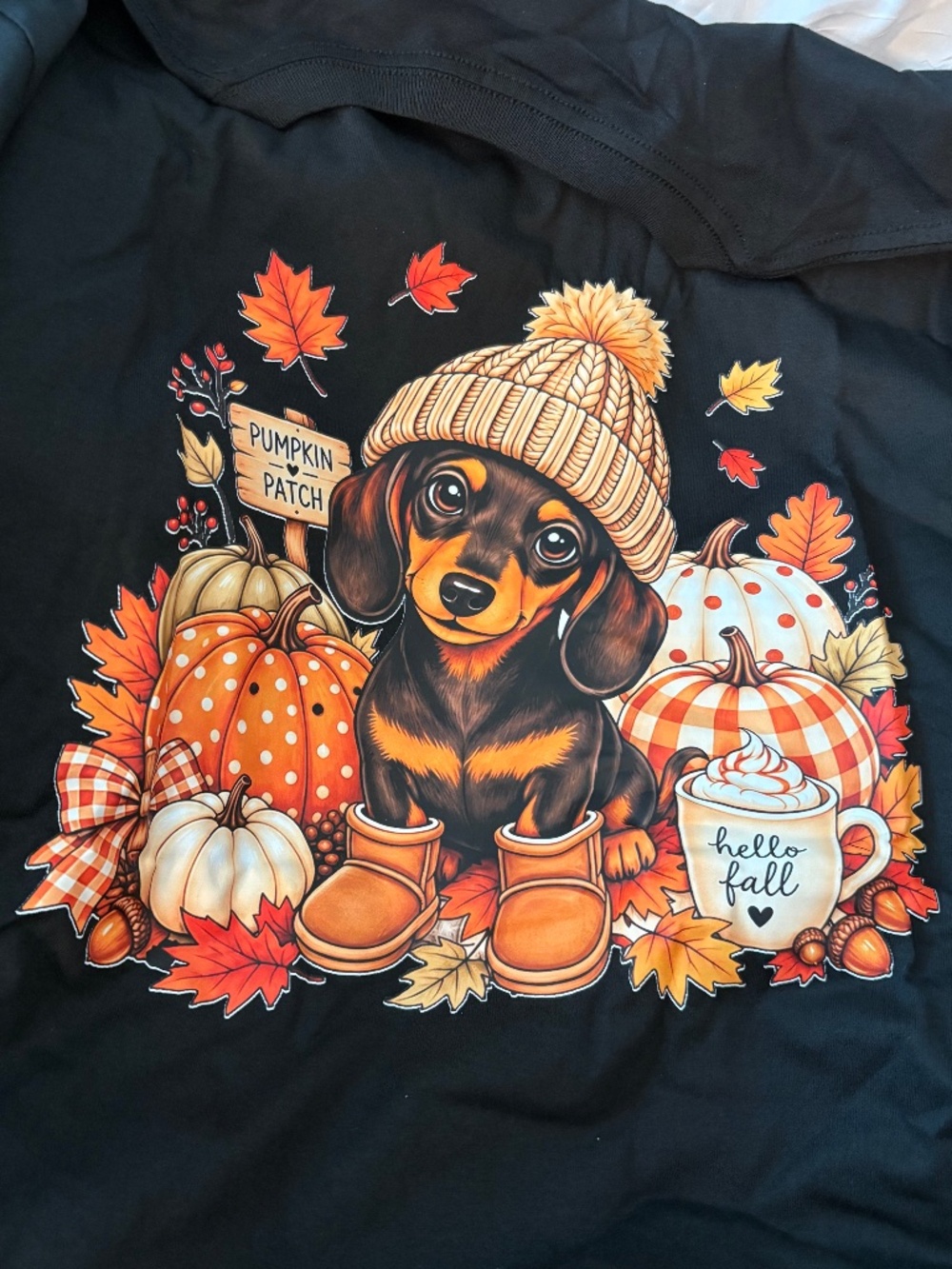 Plus Size 3X Dachshund Pumpkin Patch Fall T-Shirt